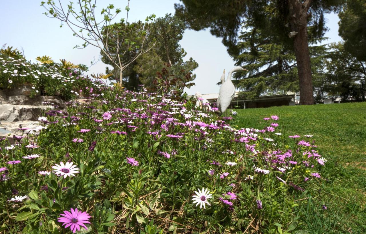 Hacienda Forest View Hotel Ma'alot Tarsiha Kültér fotó